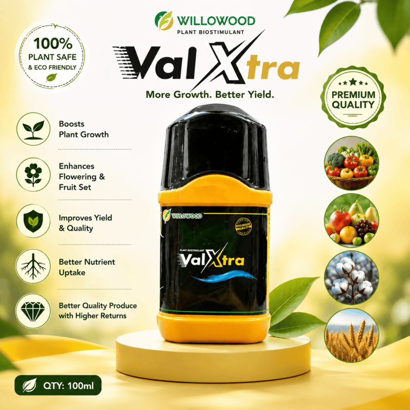 Willowood VALXTRA® Fungicide – Hexaconazole 5% + Validamycin 2.5% SC | Vetrivel Agro Services