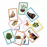 EVS Flashcards