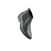 Fancy Boots