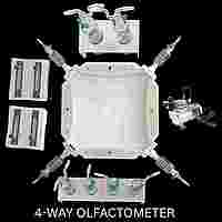 4-way Arena Insect Olfactometer
