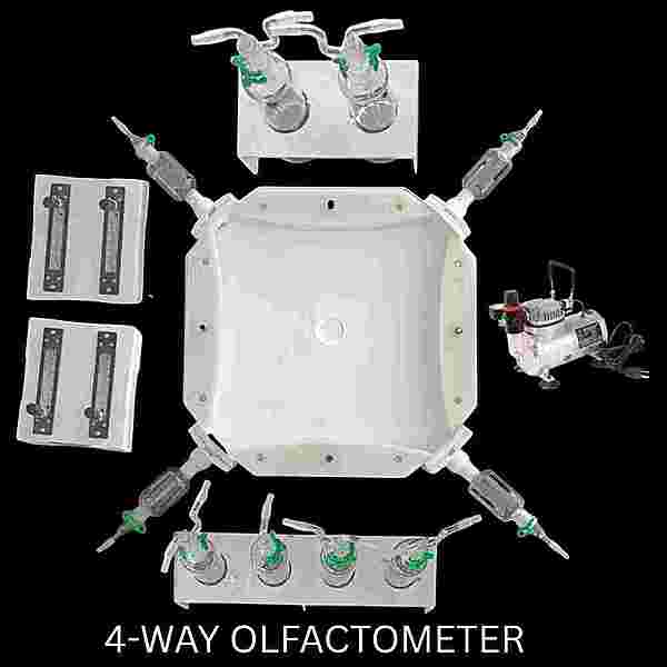 4-way olfactometer with mesh rail for clawed insects