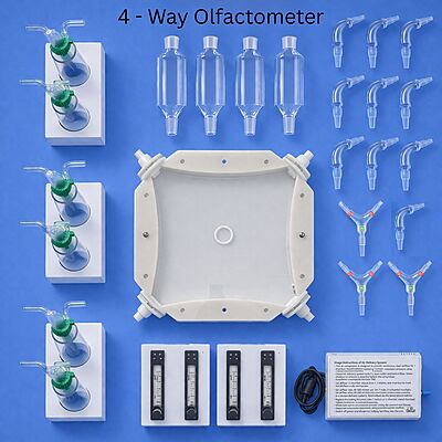 4-way olfactometer with mesh rail for clawed insects