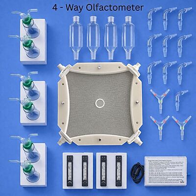 4-way olfactometer with mesh rail for clawed insects
