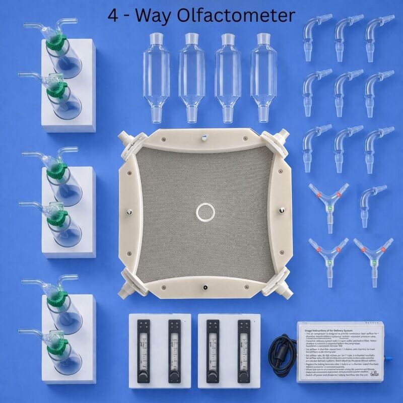 4-way olfactometer with mesh rail for clawed insects