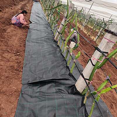 Weed Mat Sulzer Premium 5-7 Years