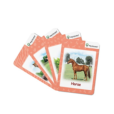 Next AR leaflet - Primer B (Set of 20) Next AR leaflet - Primer B (Set of 20)