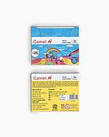 Camlin Wax Crayons