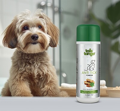 Anti Tick Powder-100 GMS