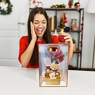 Pack of 6 Transparent Goodie Bags | Clear Medium Gift Bags for Return Gifts, Party Favors, Birthday, Wedding, Baby Shower | Brown Gift Bags