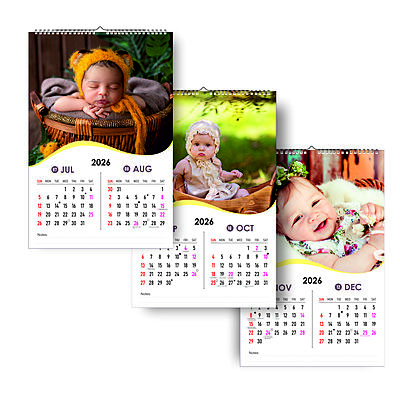 2026 Baby Bliss Wall Calendar