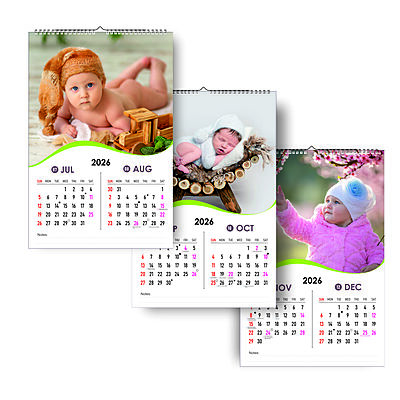2026 Nature’s Little Wonder Wall Calendar