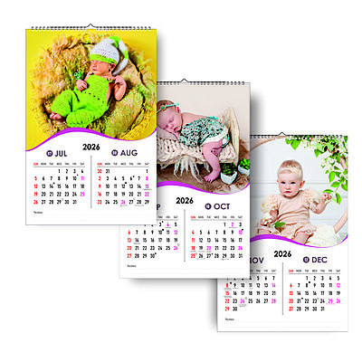 2026 Sunlit Smiles Wall Calendar