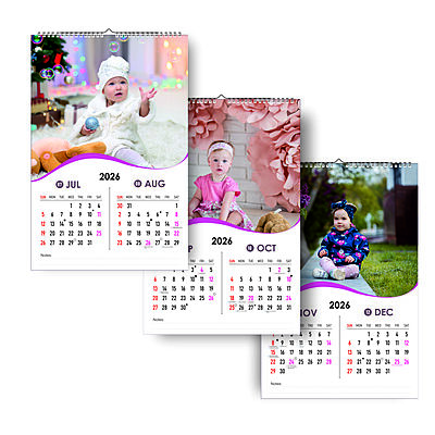 2026 Cozy Nest Wall Calendar