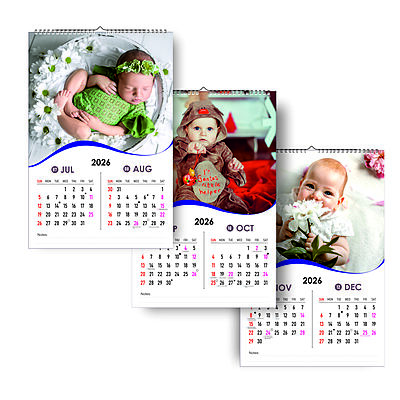 2026 Pure Joy Wall Calendar