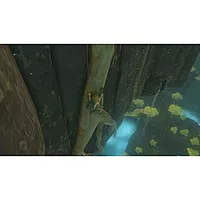 Nintendo The Legend Of Zelda: Tears Of The Kingdom (Switch)