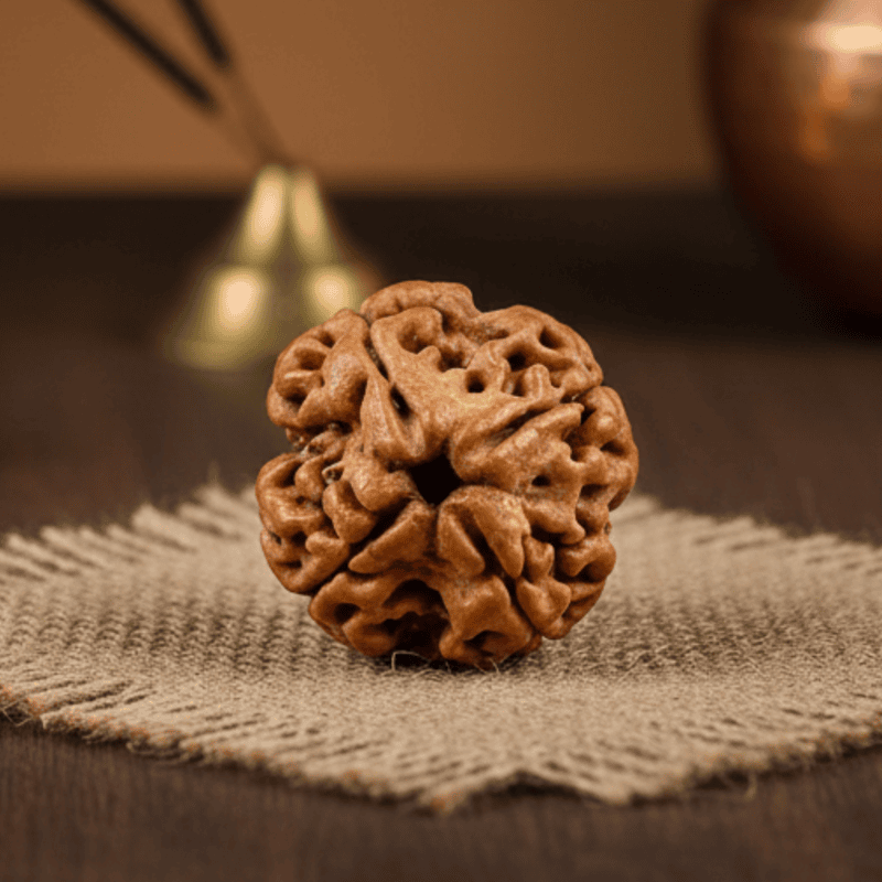 4 Mukhi Rudraksha – Natural & Certified