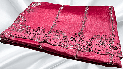 Show Time Fendy Stone Work Saree - Bubblegum
