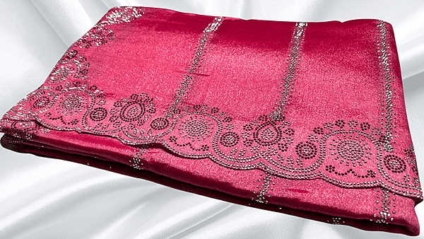 Show Time Fendy Stone Work Saree - Bubblegum