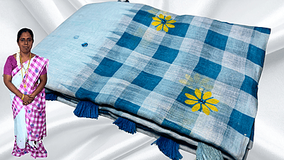 Soft Checks Mirror Work Saree - Blue