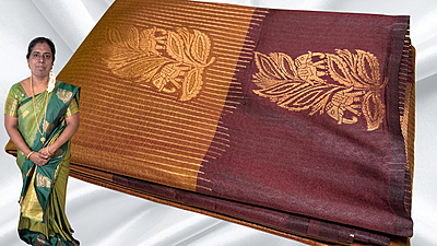 Radhika Soft Silk Line Jari Saree - Gold Brown Radhika Soft Silk Line Jari Saree - Gold Brown