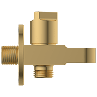 AC-GG-34 Wall Outlet With Shower Hook & Shutoff Valve (Glossy Gold)