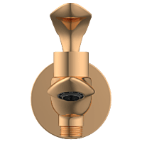 KA-RG-3106 2 Way Bib Tap With Wall Flange (Rose Gold)