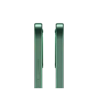 OPPO F33 5G (Forest Green, 256 GB) (8 GB RAM)