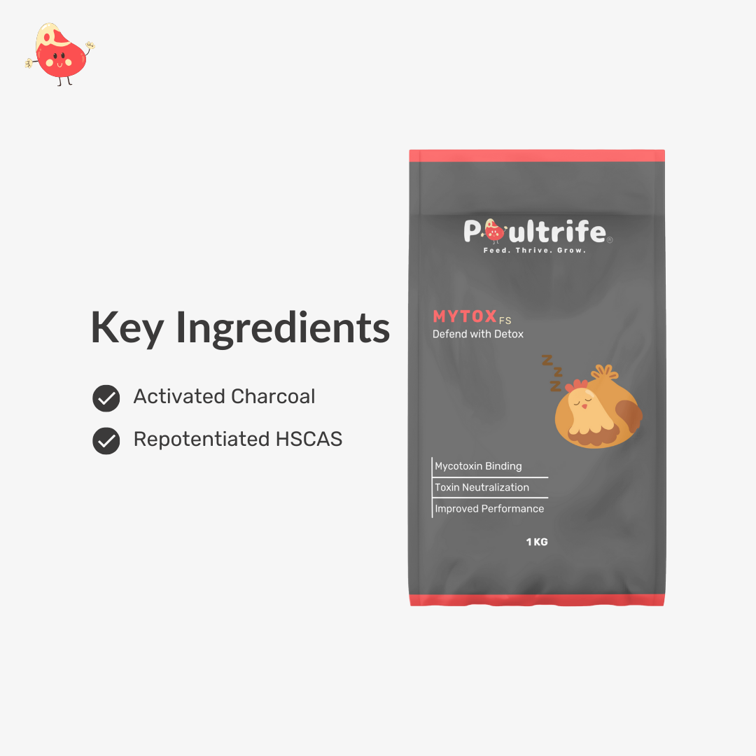 MYTOX FS – Advanced Mycotoxin Binder for Feed Safety