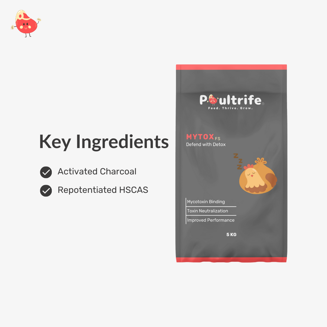 MYTOX FS – Advanced Mycotoxin Binder for Feed Safety