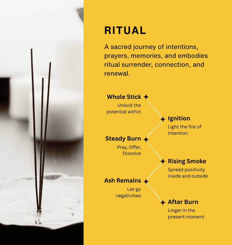 07- Original Collection