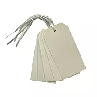 Pack of 10 Assorted Pastel Colour 120x60mm Strung Tags