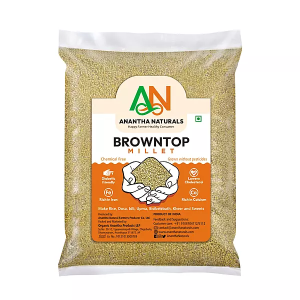 BrownTop MIllets
