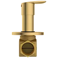 KA-GG-3125 Flush Valve 25mm Body With Upper Part Set (Gold)