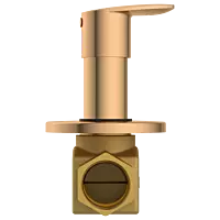 KA-RG-3125 Flush Valve 25mm Body With Upper Part Set (Rose Gold)