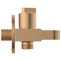 AC-RG-34 Wall Outlet With Shower Hook & Shutoff Valve (Rose Gold)