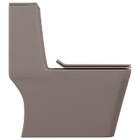 OPC-LW-29211PP Lush Brown Lavish Siphonic One Piece Closet S Trap (9" Inch) With Soft Close Seat Cover With Hinges, Fixing Accessories Set and Accessories Set, Cistern Fittings
