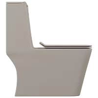 OPC-SB-29211PP Saint Beige Lavish Siphonic One Piece Closet S Trap (9" Inch) With Soft Close Seat Cover With Hinges, Fixing Accessories Set and Accessories Set, Cistern Fittings