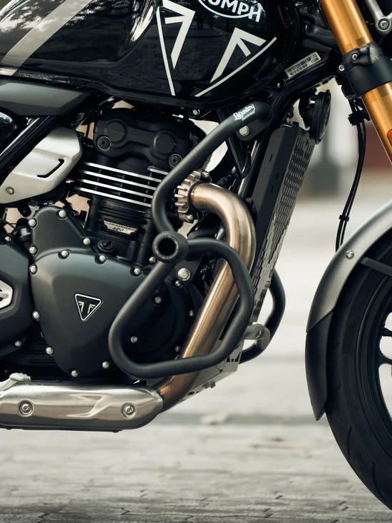 Legundary Thanos Crash Guard With Slider for Triumph Speed 400