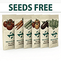Terrace Garden Kit | Maadi Thottam Kit | Complete Home Gardening Starter Kit for Beginners