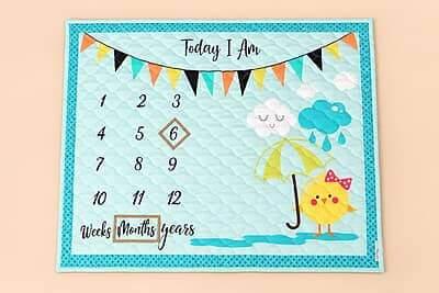 Baby Monthly Milestone Cotton Blanket & Photo Props –  Story