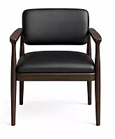 Fern Dining Arm Chair