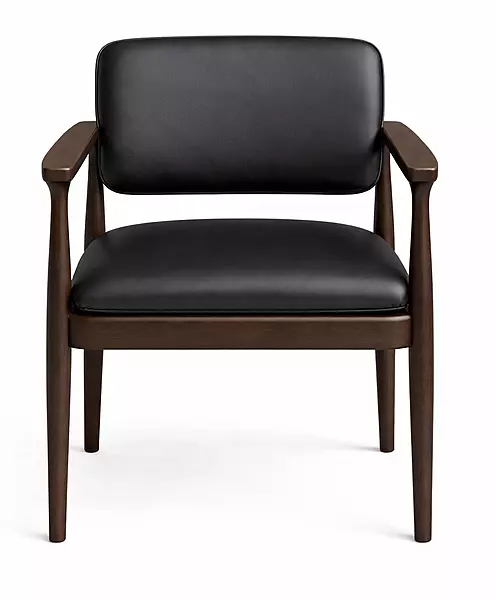 Fern Dining Arm Chair