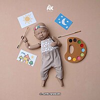 Studio Package (50 Themes)