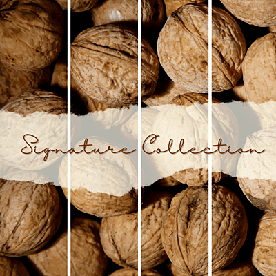 Nuts in a Jar Chilean Walnuts with Shell Signature 250 Grams