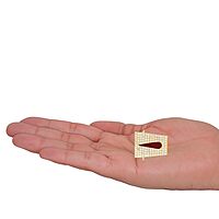 Namam/Bindhi, Pottu - God Ornament