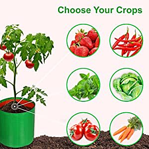 HDPE UV Plant Grow Bags, 12 x 12 inch, Pack of 5, Green, for Terrace Gardening and Fruit Plants