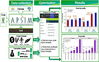 Climate Scenario Simulation & Adaptation Planning Dashboard