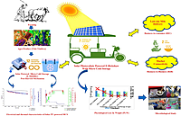 Cold Room Electrical Wiring & Power Distribution