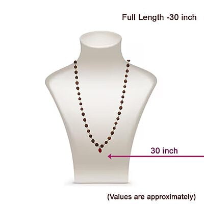Rudraksha mala silver with pendant/Dollar for men