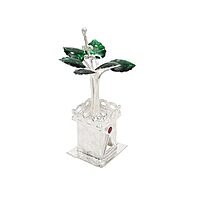 Silver Tulasi Madam / Plant